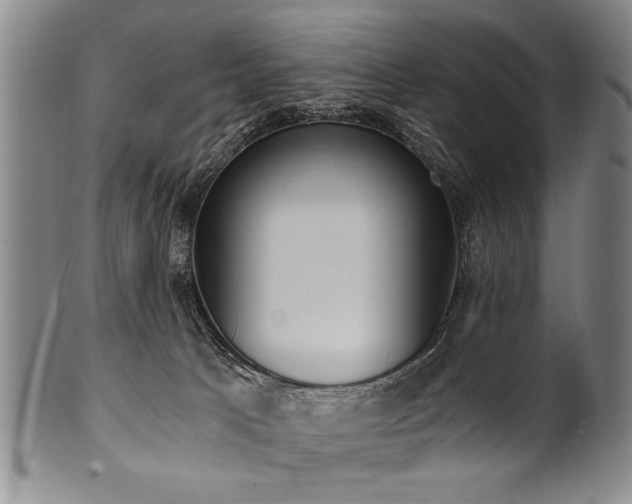 X0000101110033200806261423