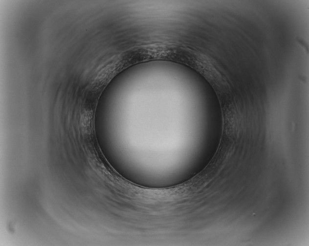 X0000101110034200806261423