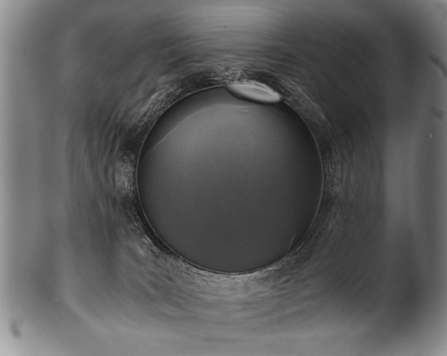 X0000101110035200806261423