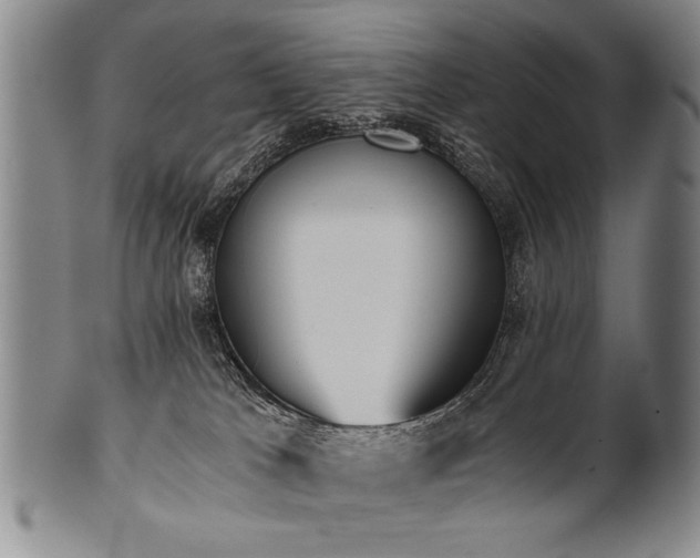 X0000101110037200806261423