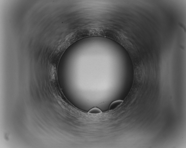 X0000101110038200806261423