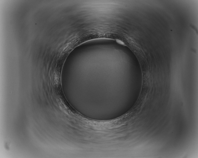 X0000101110039200806261423