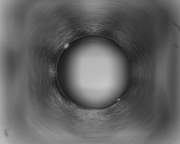 X0000101110040200806261423