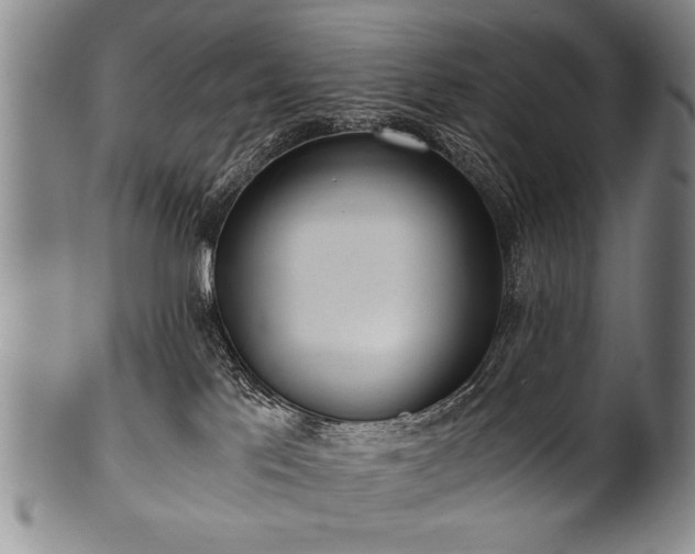 X0000101110041200806261423