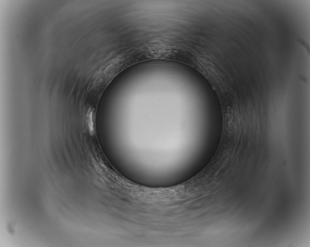 X0000101110042200806261423
