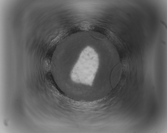 X0000101110043200806261423