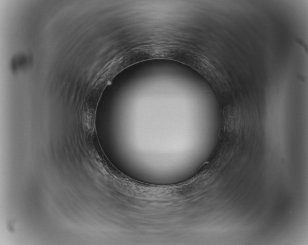X0000101110044200806261423