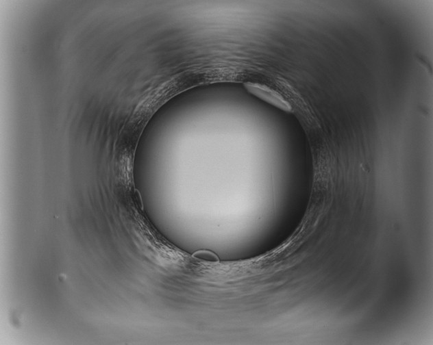 X0000101110045200806261423