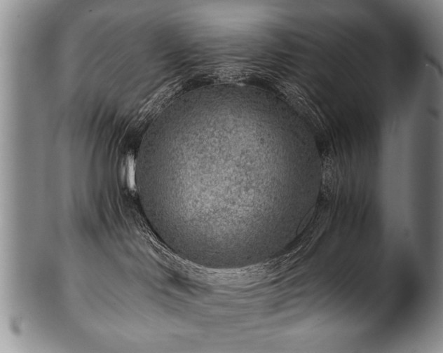 X0000101110046200806261423