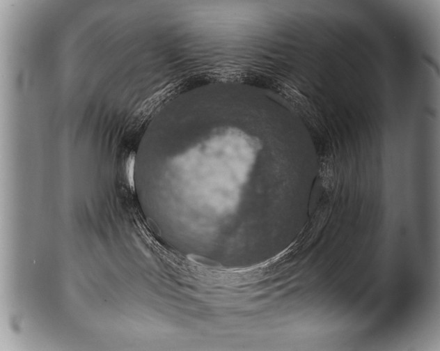 X0000101110047200806261423