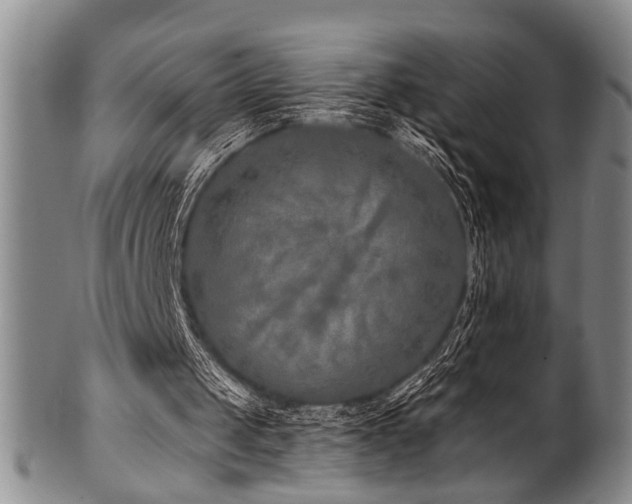X0000101110049200806261422