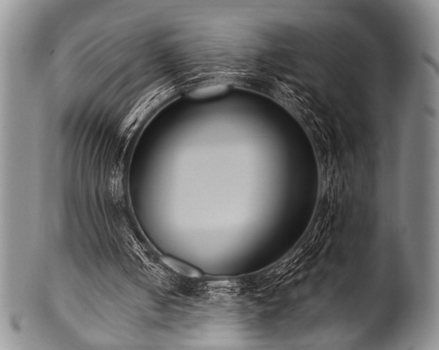 X0000101110050200806261422