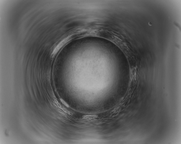 X0000101110051200806261422
