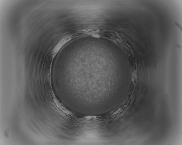 X0000101110052200806261422