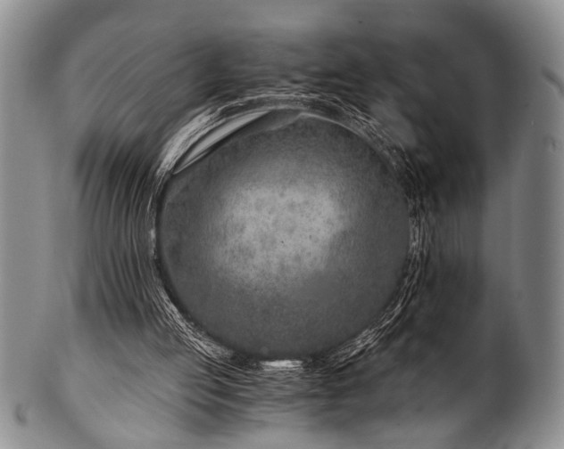 X0000101110053200806261422