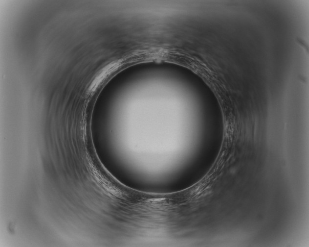 X0000101110054200806261422