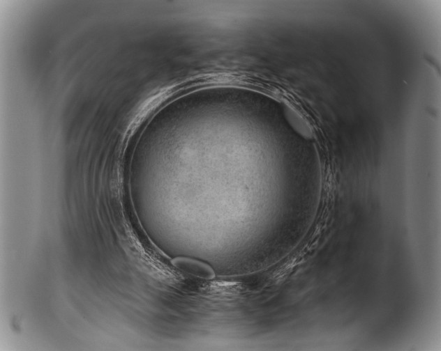 X0000101110055200806261422