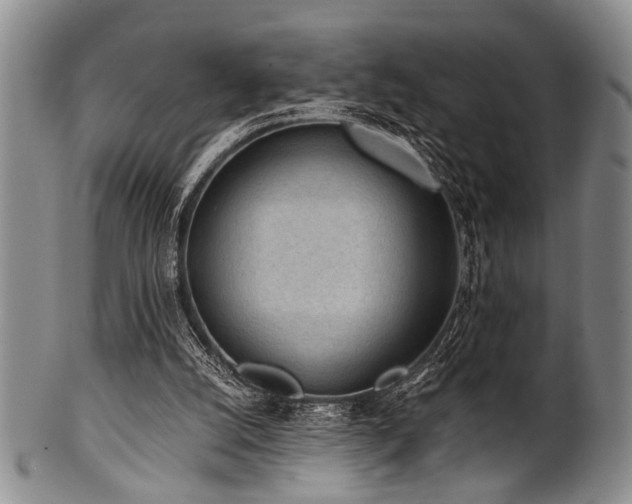 X0000101110056200806261422