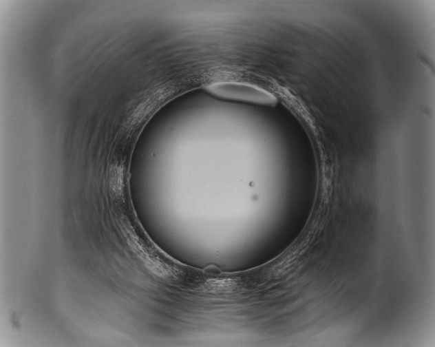 X0000101110057200806261422
