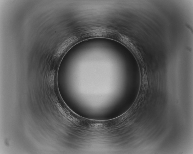 X0000101110058200806261422