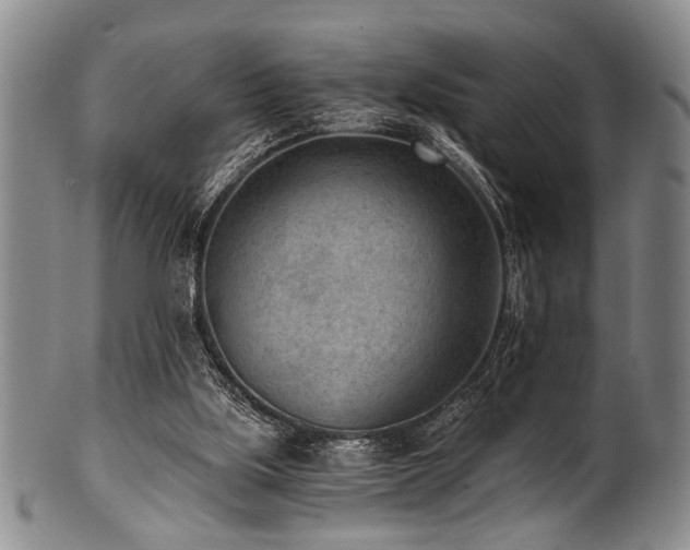 X0000101110059200806261422