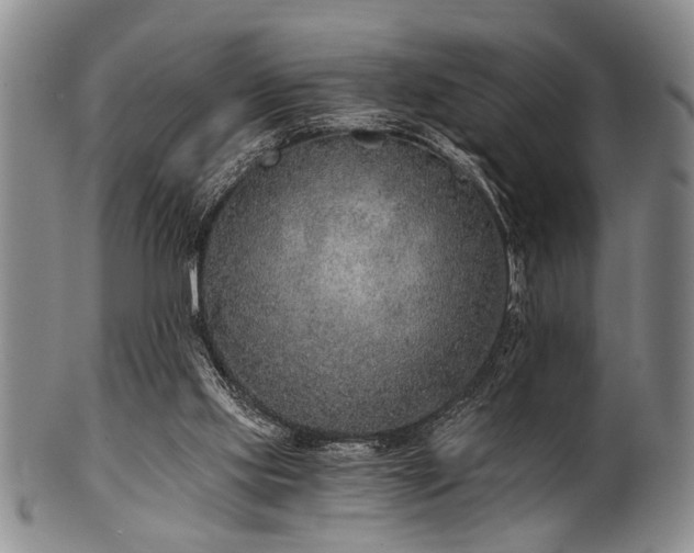 X0000101110061200806261422