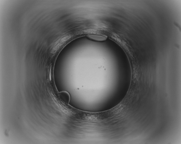 X0000101110062200806261422