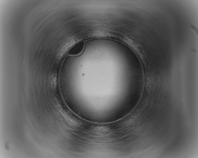 X0000101110063200806261422