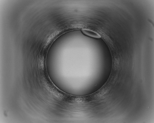 X0000101110064200806261422