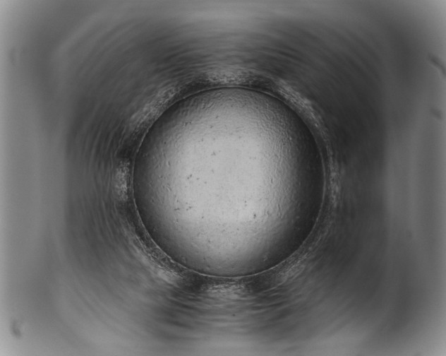 X0000101110065200806261422
