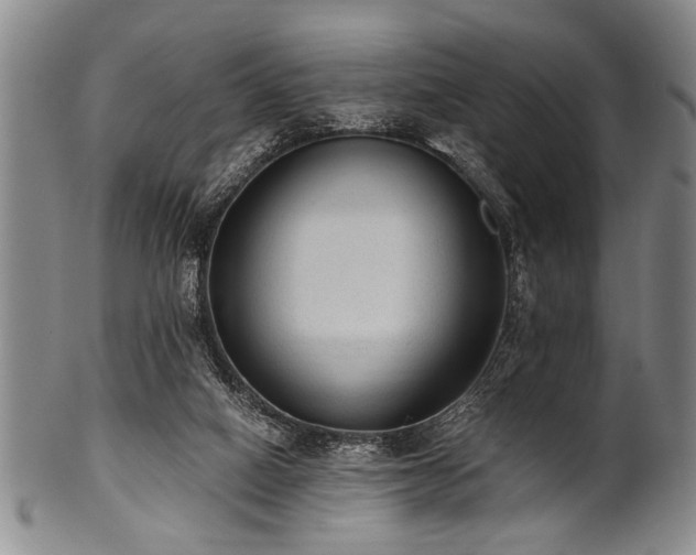 X0000101110066200806261422