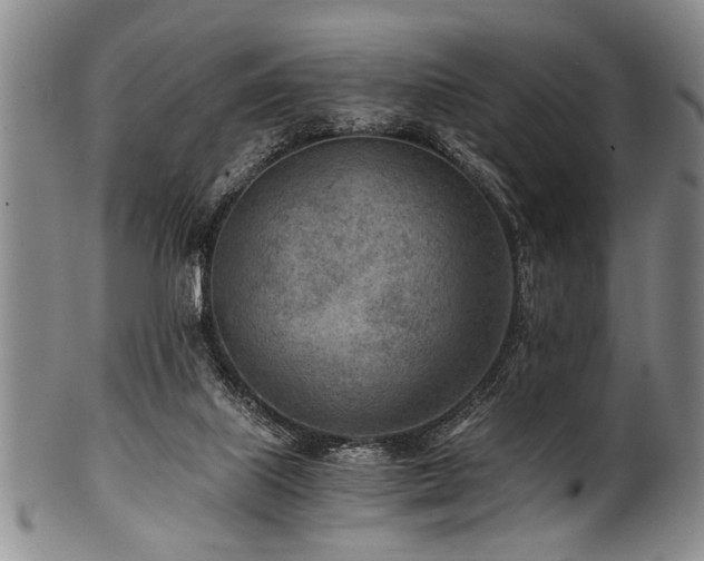 X0000101110067200806261422