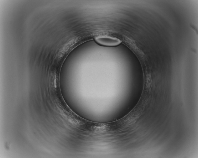 X0000101110068200806261422