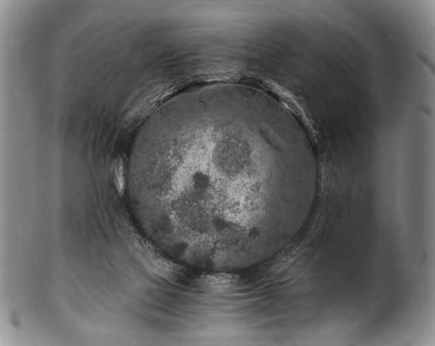 X0000101110069200806261422