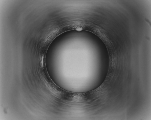 X0000101110070200806261422