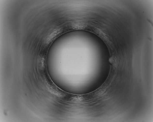 X0000101110071200806261422