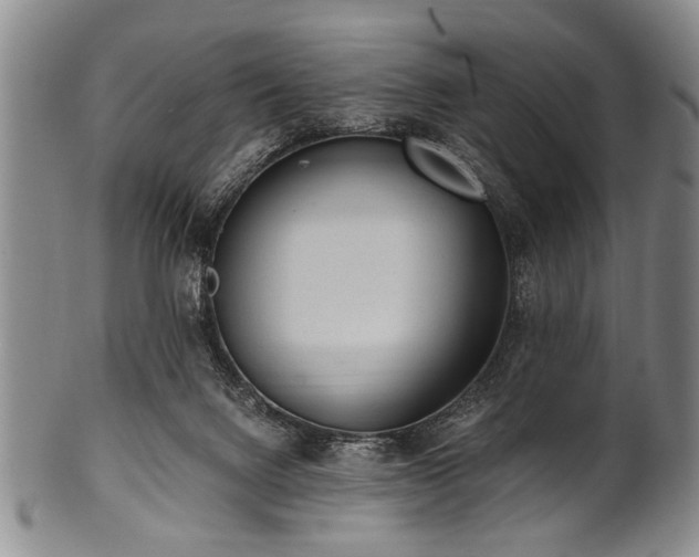 X0000101110072200806261422