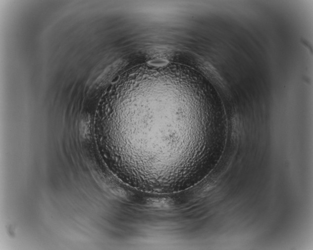 X0000101110073200806261422