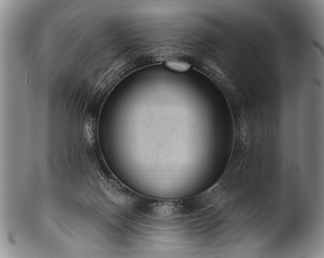 X0000101110074200806261422