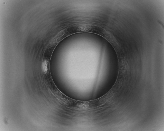 X0000101110075200806261422
