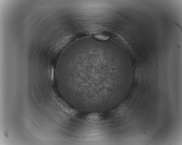X0000101110076200806261422