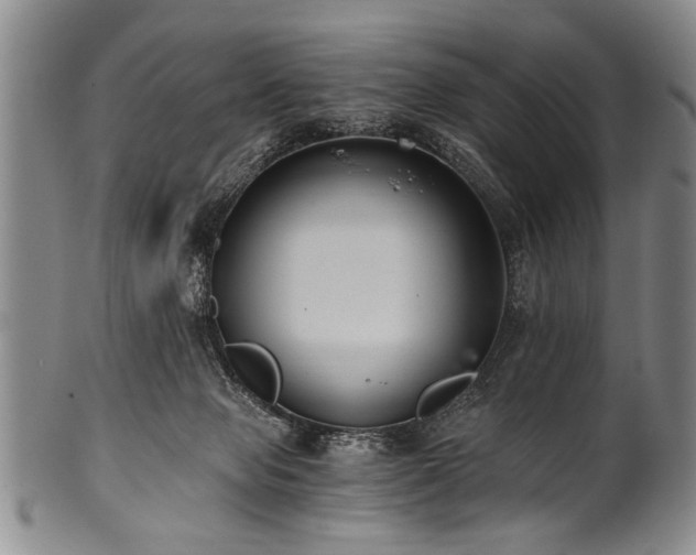 X0000101110077200806261422