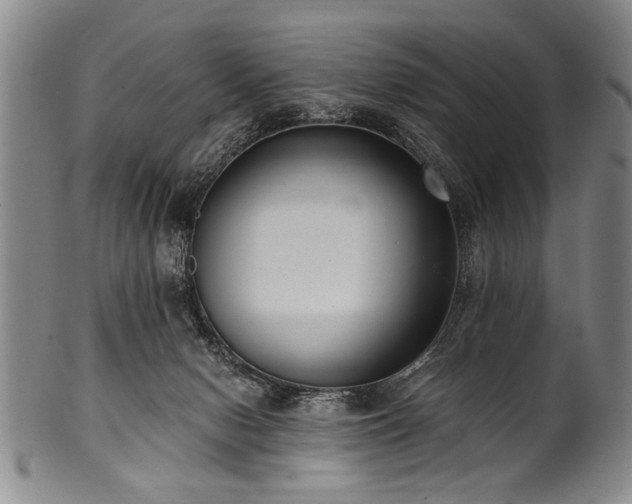 X0000101110078200806261422