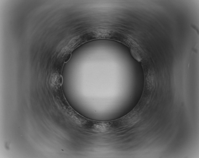 X0000101110079200806261422