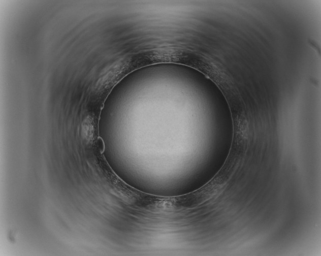 X0000101110080200806261423