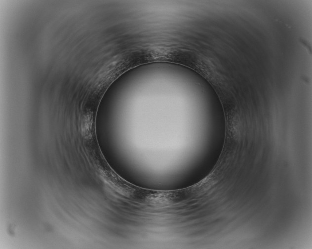 X0000101110082200806261423