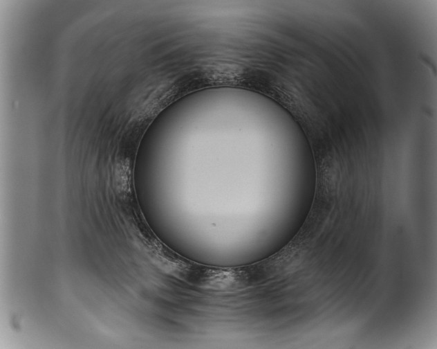 X0000101110083200806261423