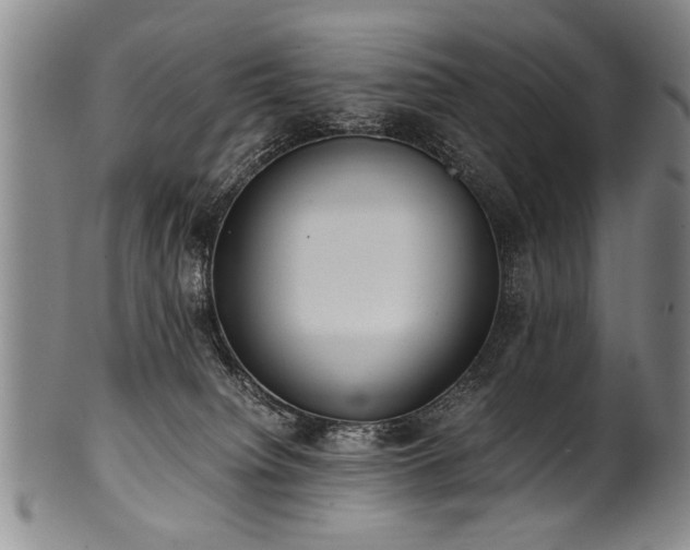 X0000101110084200806261423