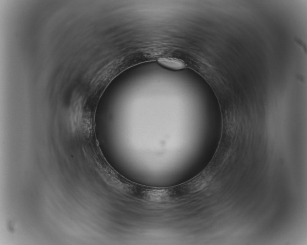 X0000101110085200806261423