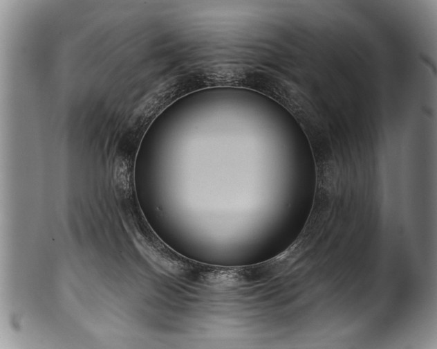 X0000101110086200806261423